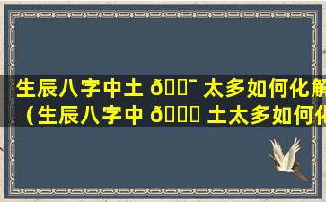 生辰八字中土 🐯 太多如何化解（生辰八字中 🐞 土太多如何化解财运）
